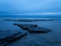 neptuni_akrar_ipnaturfoto_se_ls147