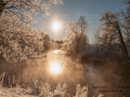 vinter_frost_ipnaturfoto_se_ls137