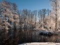 vinter_ipnaturfoto_se_ls131