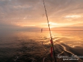 torskfiske_skagerrak_ipnaturfoto_se_fis85