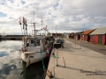 byxelkrok_fiskehamn_ipnaturfoto_se_yf138