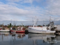 byxelkrok_fiskehamn_ipnaturfoto_se_yf141