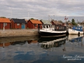 byxelkrok_fiskehamn_ipnaturfoto_se_yf142