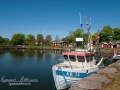 fiskebat_ipnaturfoto_se_yf137