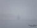 raktralare_gullmarsfjorden_ipnaturfoto_se_yf147