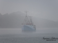tralare_gullmaren_ipnaturfoto_se_yf148